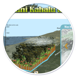 Waipuni Kahalu'u Watershed Website